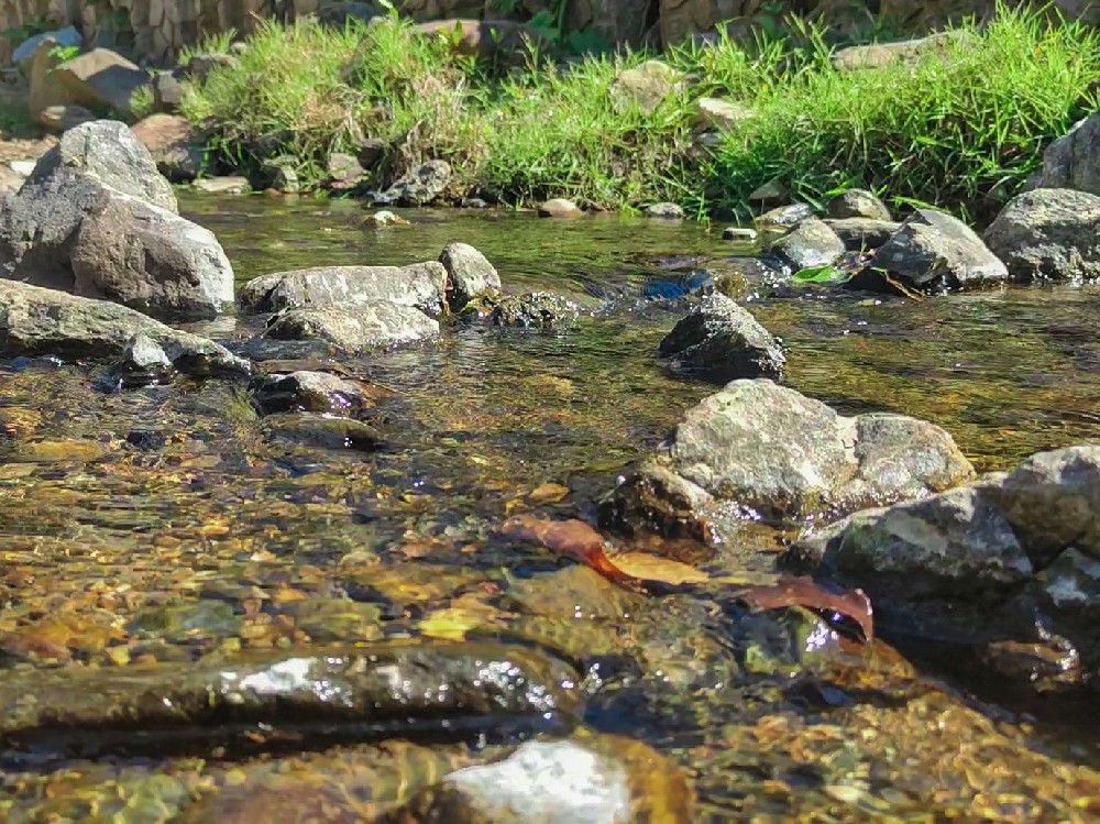 金龟水源探寻之旅
